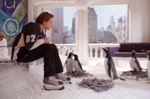 نقد و بررسی فیلم پنگوئن های آقای پاپر( Mr. Popper's Penguins )