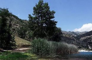 دریاچه ولشت، جاذبه گردشگری مازندران