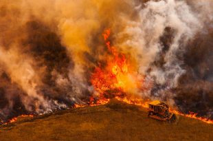آتش سوزی کالیفرنیا و هر آنچه باید در مورد آن بدانید