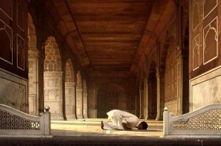 چرا اهل سنت بدون مهر نماز می‌خوانند؟