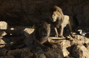 نقد فیلم The Lion King